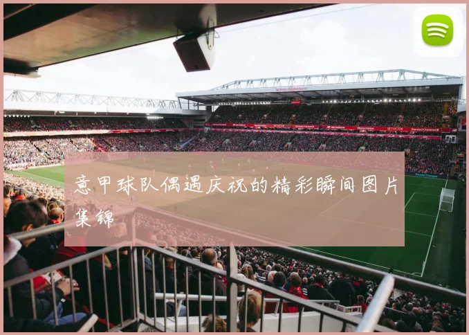 意甲球队偶遇庆祝的精彩瞬间图片集锦