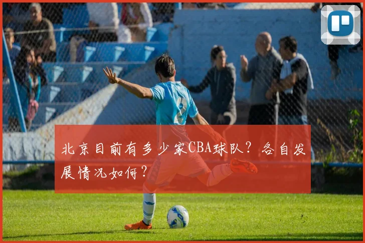 北京目前有多少家CBA球队?各自发展情况如何?