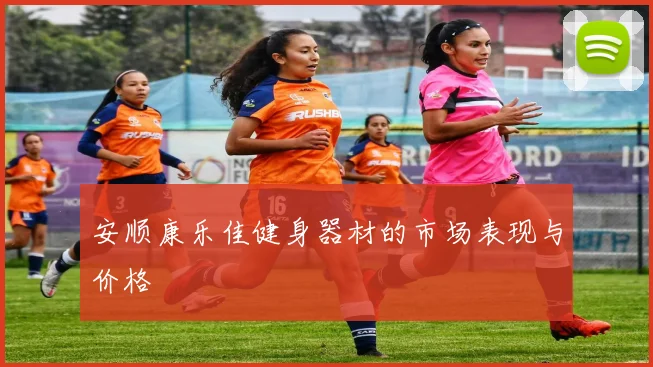 安顺康乐佳健身器材的市场表现与价格
