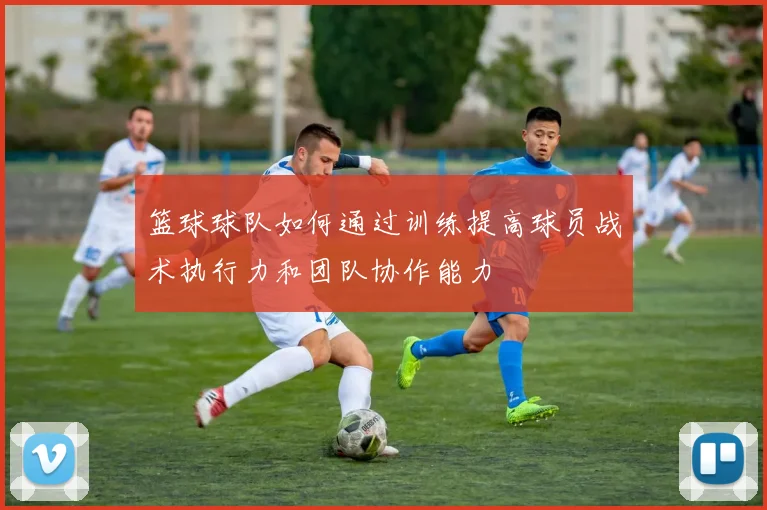 篮球球队如何通过训练提高球员战术执行力和团队协作能力