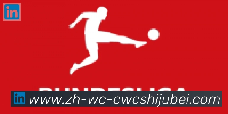 世界杯买球合作伙伴